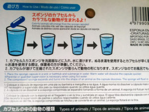 カプセルスポンジ　海の生き物