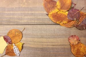 autumn