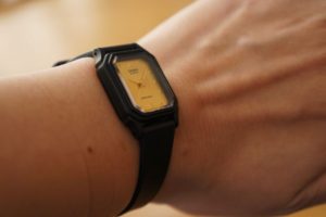 cheep-casio2