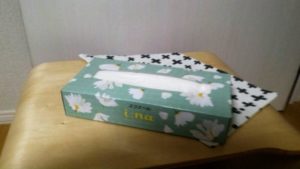 daiso case1