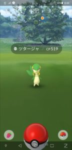 Snivy